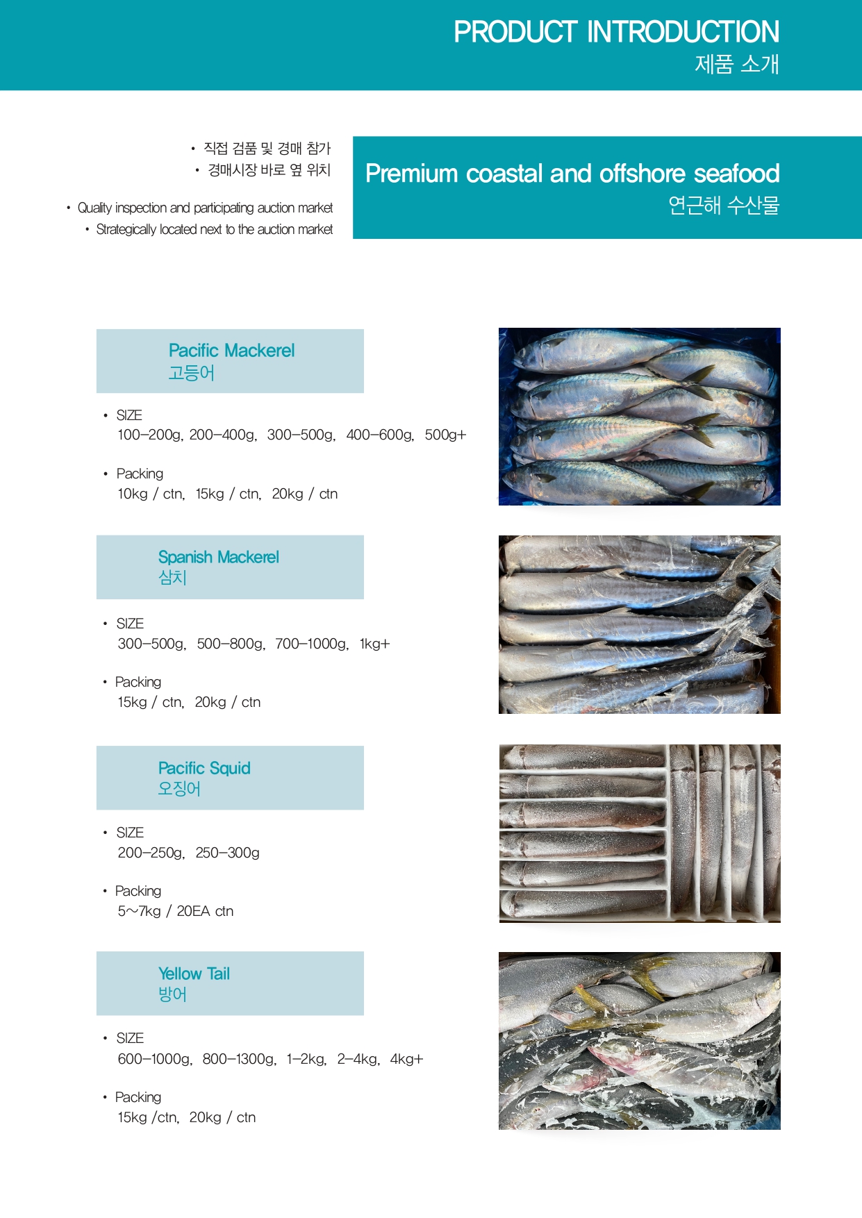 Catalogue Page 11