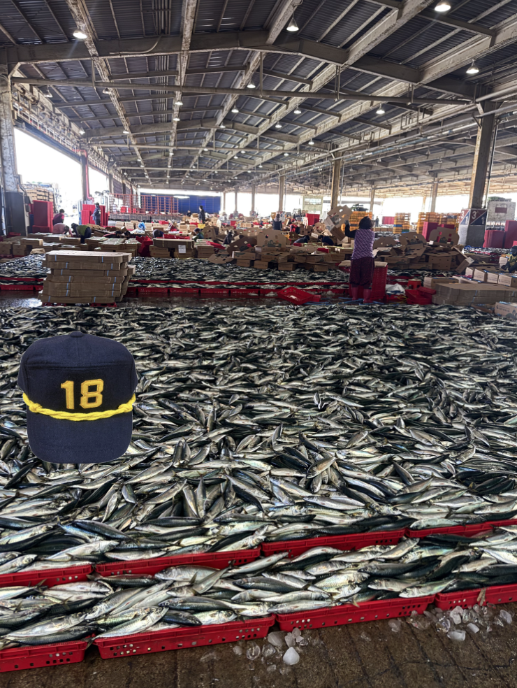 Wholesale Fish Auction